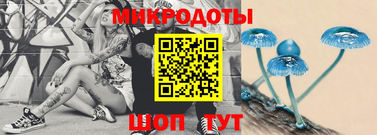 Галлюциногенные грибы Cubensis Обнинск